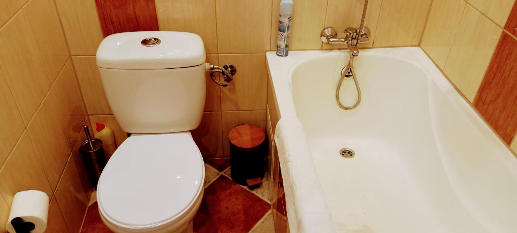 Drzewna Apartamenty - Kupiecka 39 زيلونا غورا المظهر الخارجي الصورة
